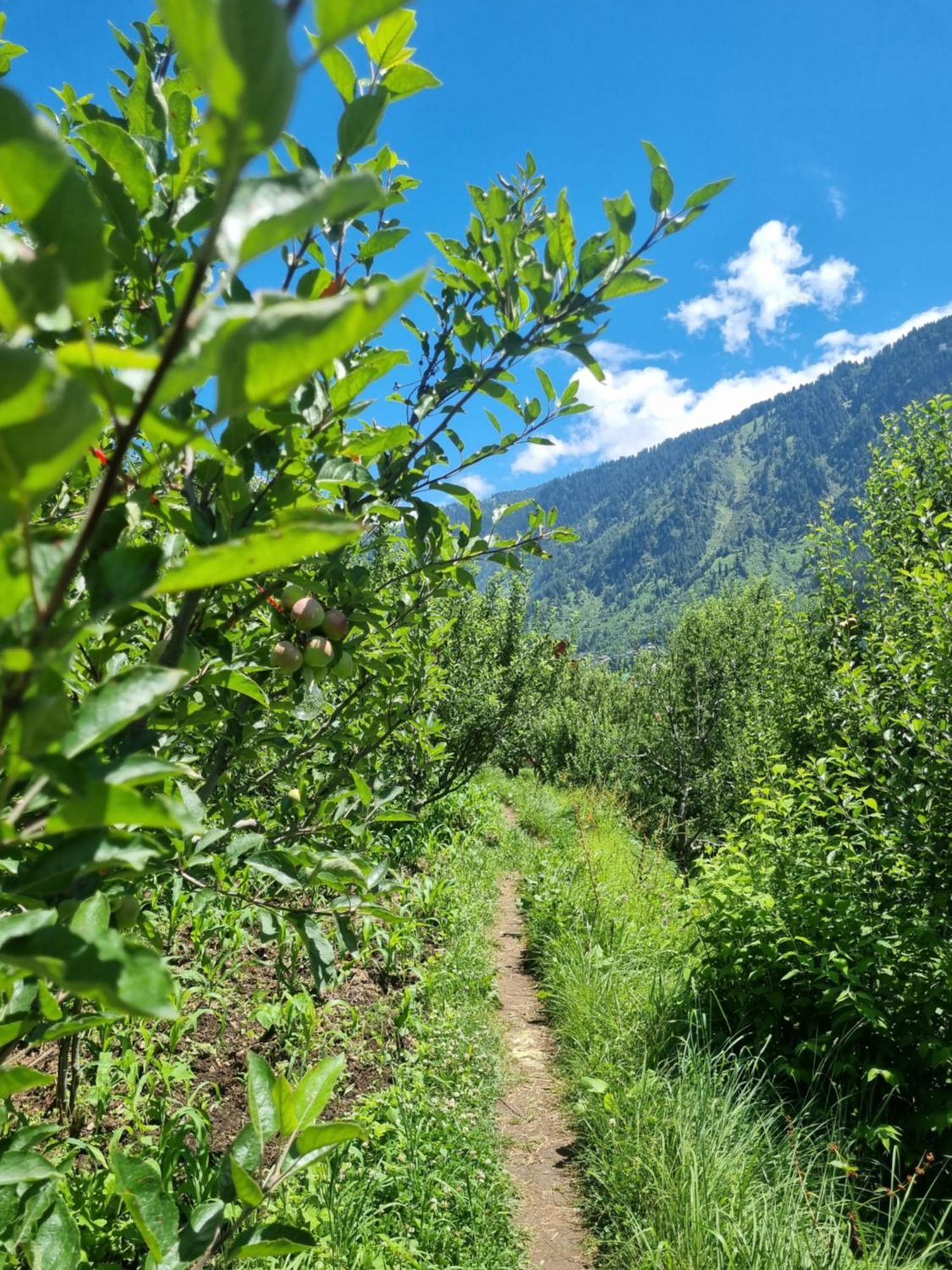 Kihala Homestay Manāli Zewnętrze zdjęcie