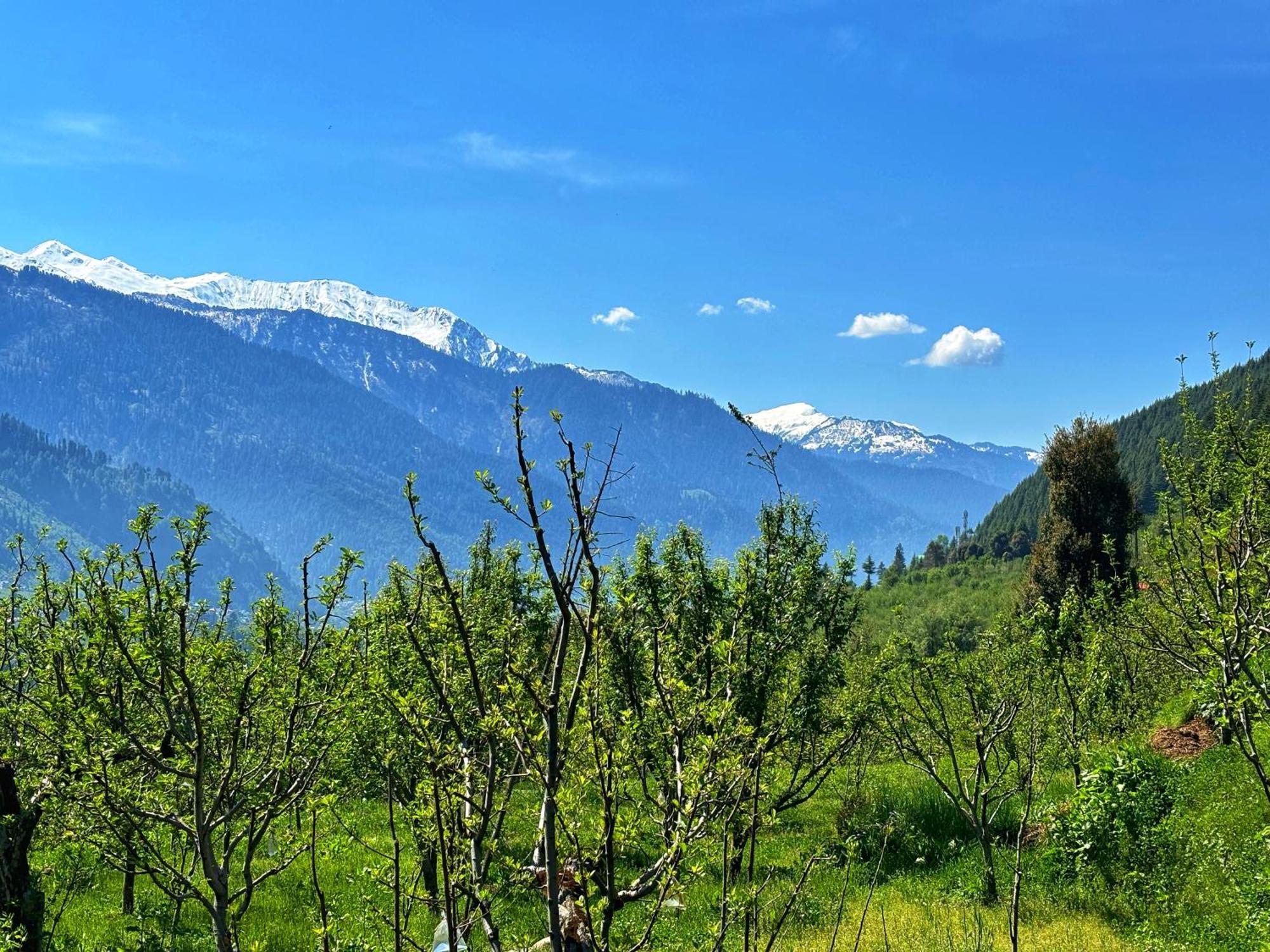 Kihala Homestay Manāli Zewnętrze zdjęcie